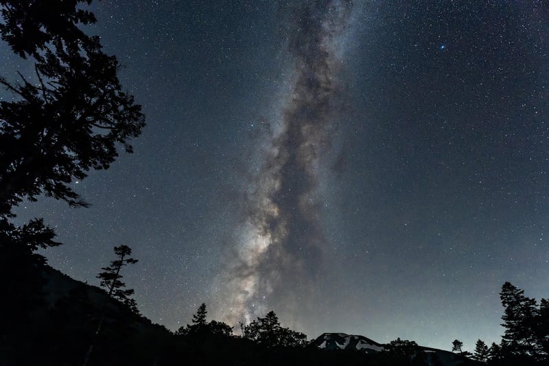 Starry Night Soiree