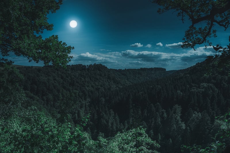 Lunar Love Affair